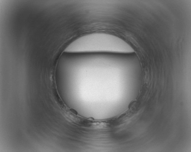 X0000075350363200609080819