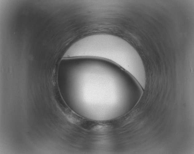 X0000075350364200609080819