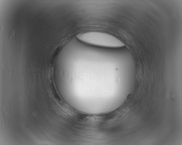 X0000075350367200609080819