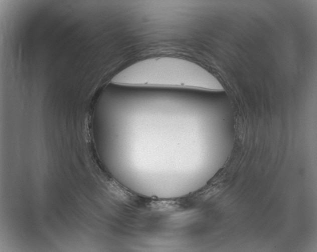 X0000075350378200609080819