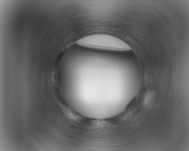 X0000075350379200609080819
