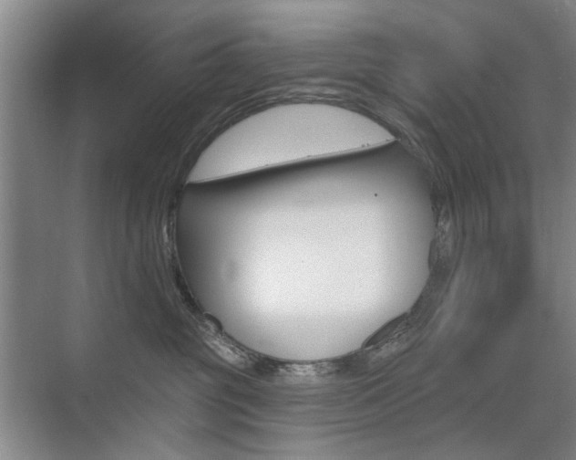 X0000075350381200609080819