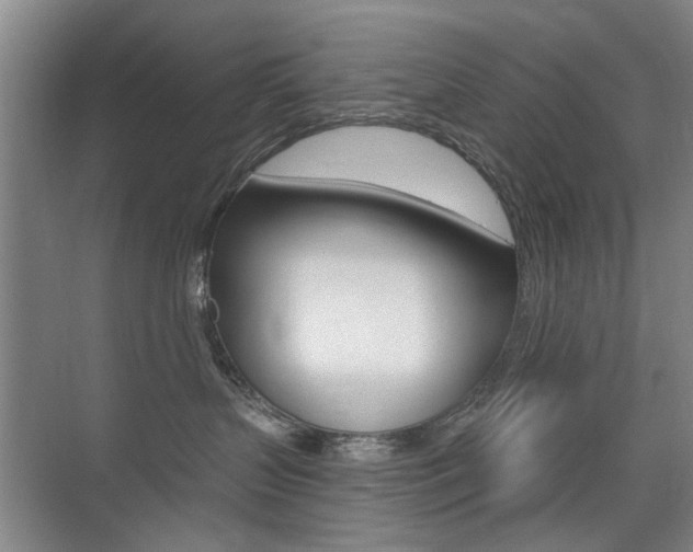 X0000075350383200609080819