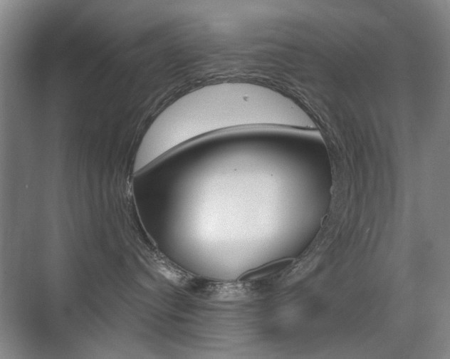 X0000075350384200609080819