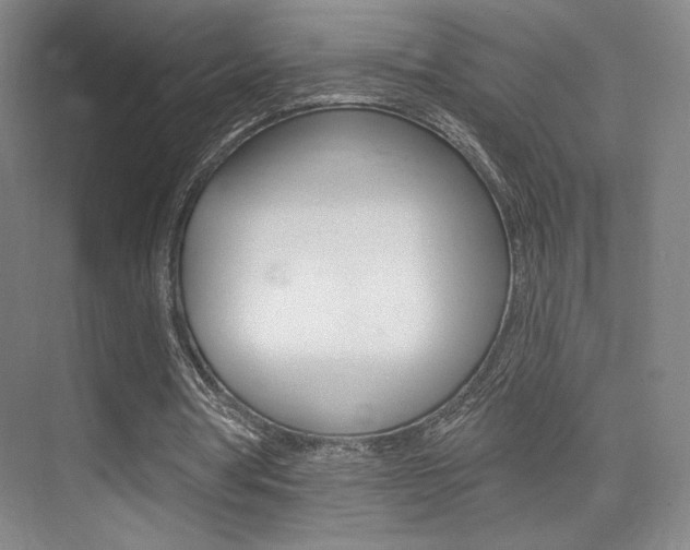 X0000075350386200609080818