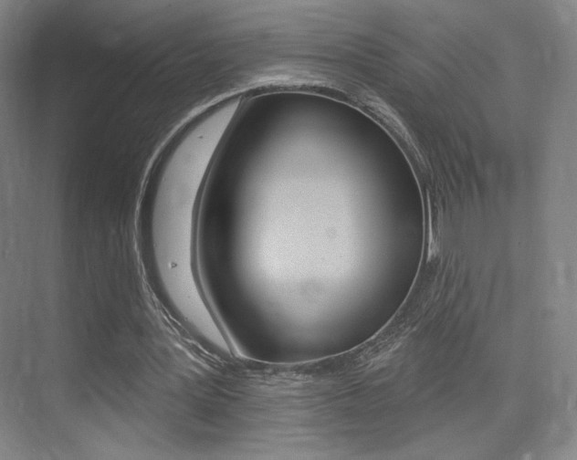X0000075350387200609080818