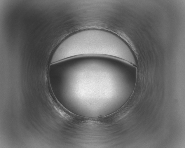X0000075350393200609080818