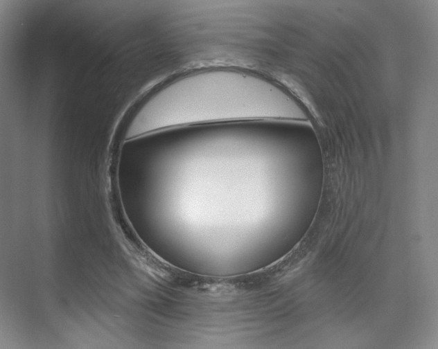 X0000075350395200609080818