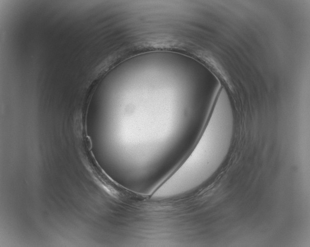 X0000075350397200609080818