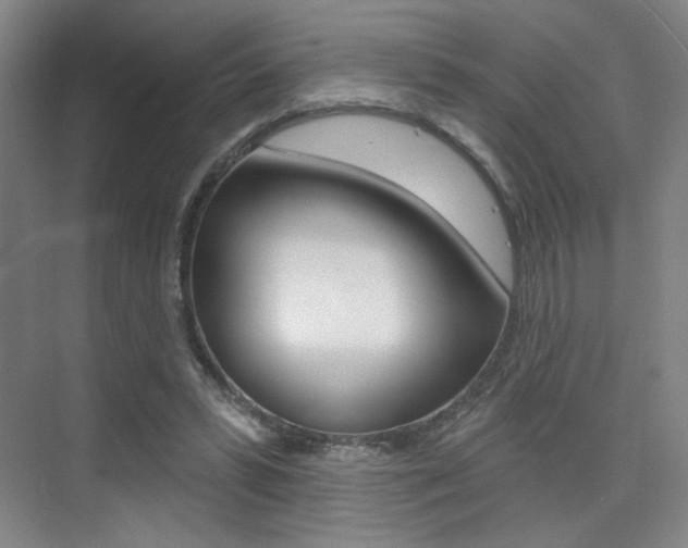 X0000075350399200609080818