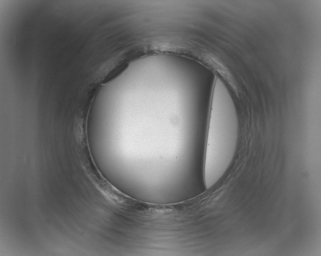X0000075350401200609080818