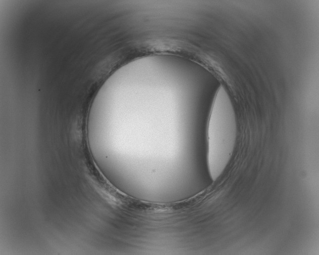 X0000075350402200609080818