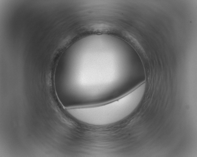 X0000075350403200609080818