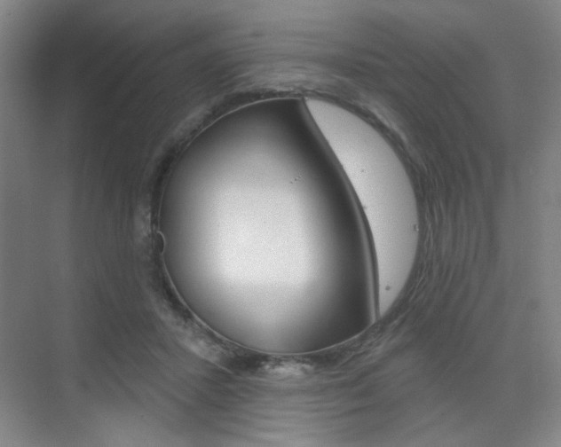 X0000075350407200609080818