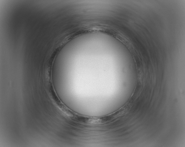 X0000075350410200609080818