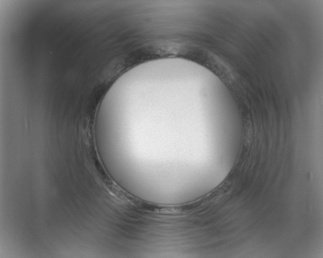 X0000075350414200609080818