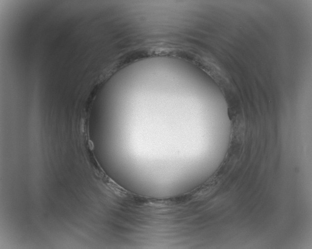 X0000075350417200609080818