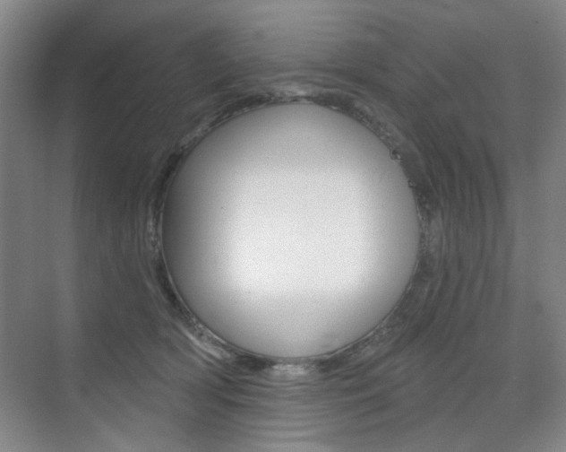 X0000075350418200609080818