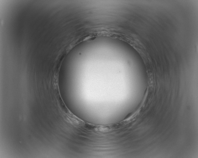 X0000075350419200609080818