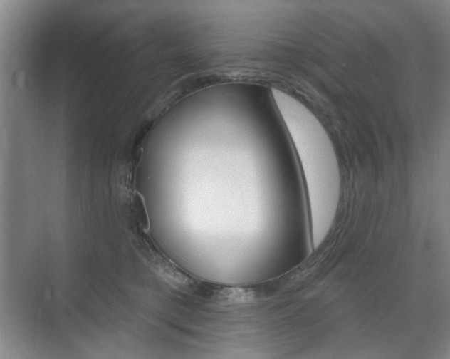 X0000075350421200609080818