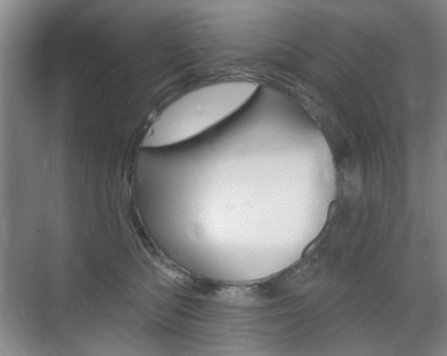 X0000075350422200609080817