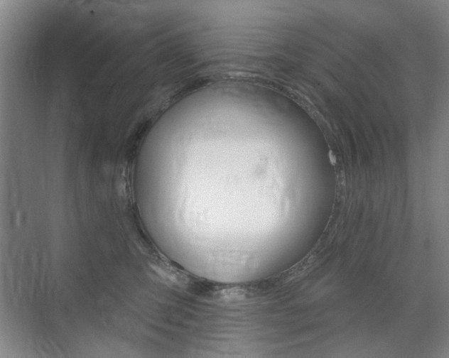 X0000075350423200609080817