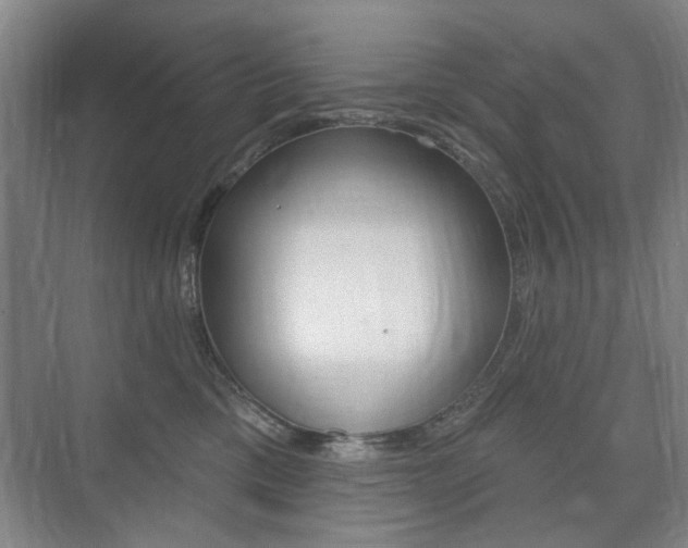 X0000075350425200609080817