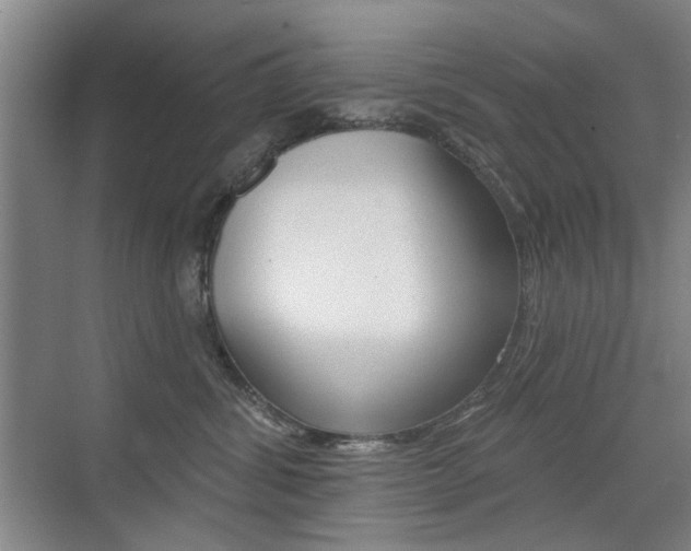 X0000075350428200609080817