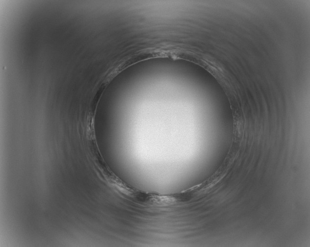 X0000075350429200609080817