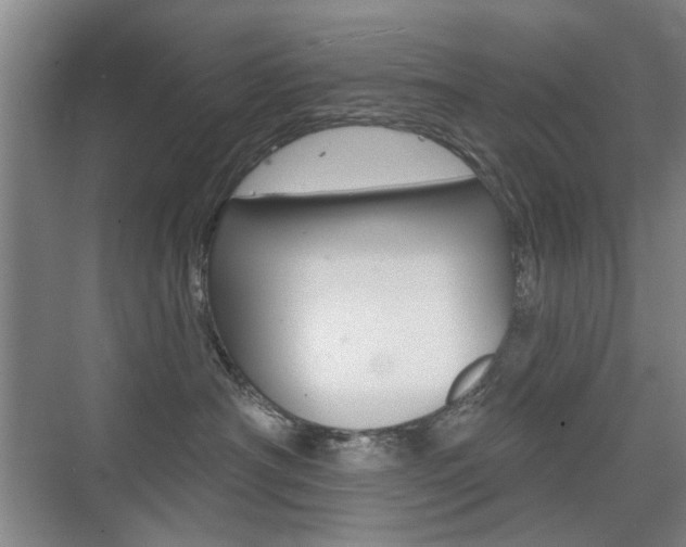 X0000075350430200609080817