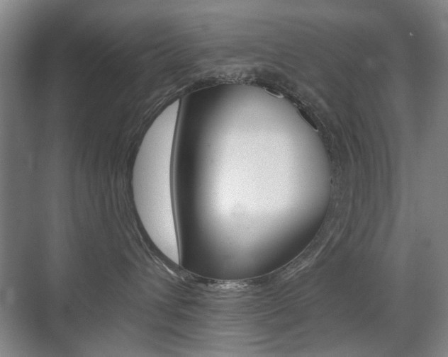 X0000075350432200609080817