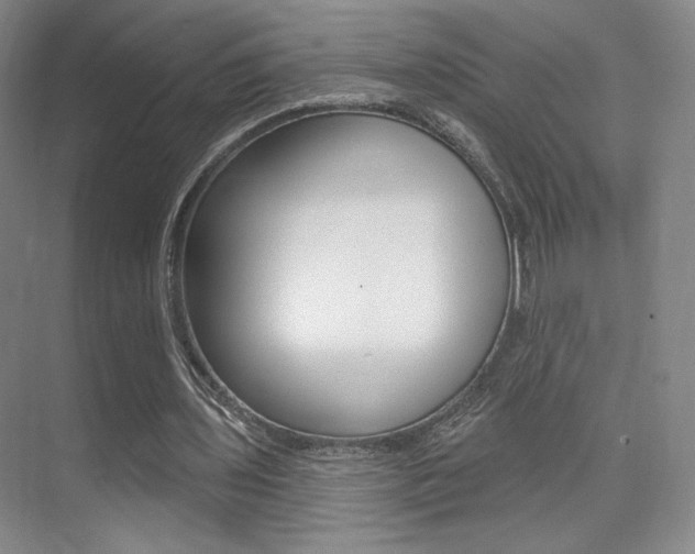 X0000075350435200609080817