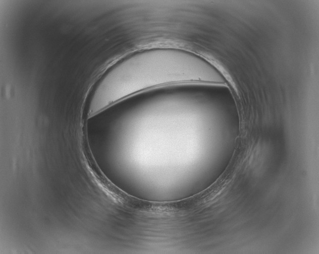 X0000075350437200609080817