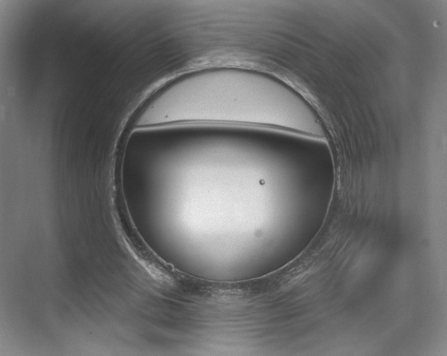 X0000075350438200609080817