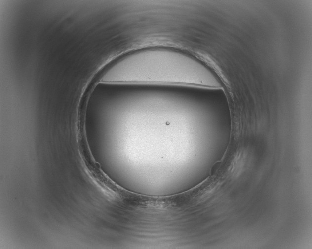 X0000075350439200609080817