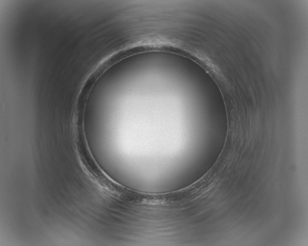X0000075350440200609080817