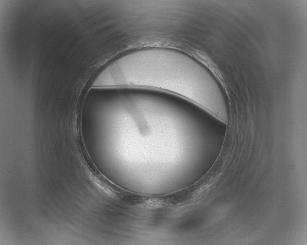 X0000075350441200609080817
