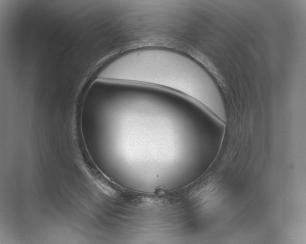 X0000075350442200609080817