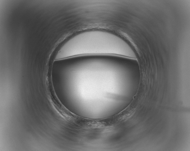 X0000075350443200609080817