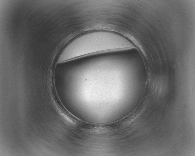 X0000075350445200609080817