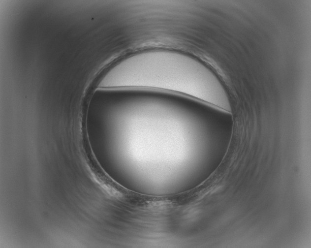 X0000075350446200609080817