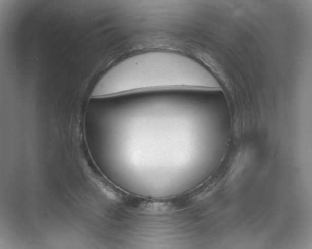 X0000075350449200609080817