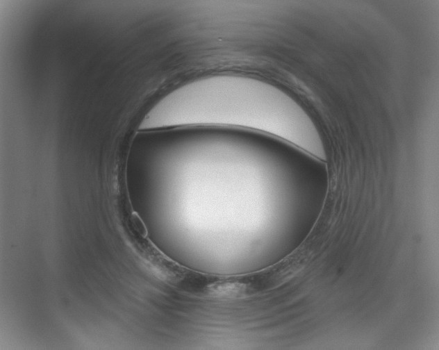 X0000075350452200609080817