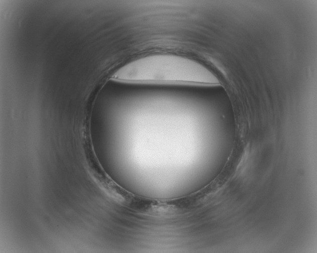 X0000075350455200609080817