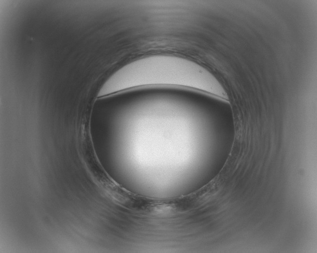 X0000075350456200609080817