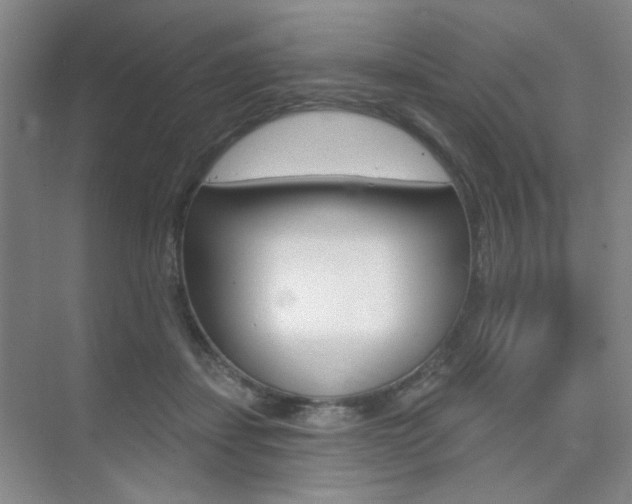 X0000075350459200609080817