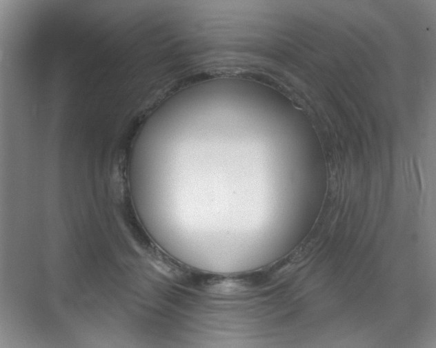 X0000075350460200609080817