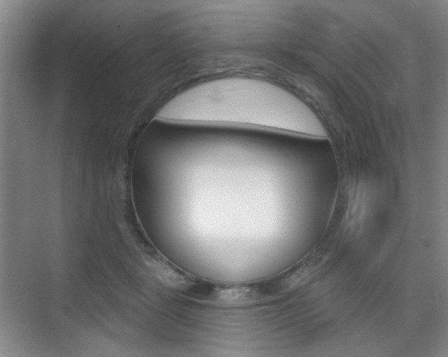 X0000075350461200609080817