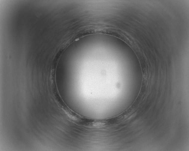X0000075350462200609080817