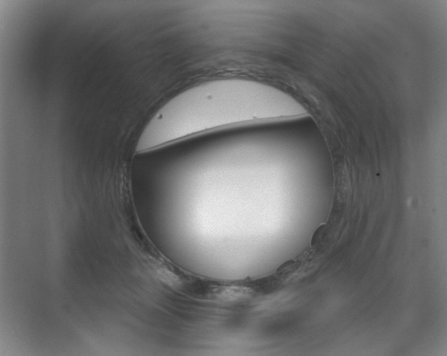 X0000075350463200609080817